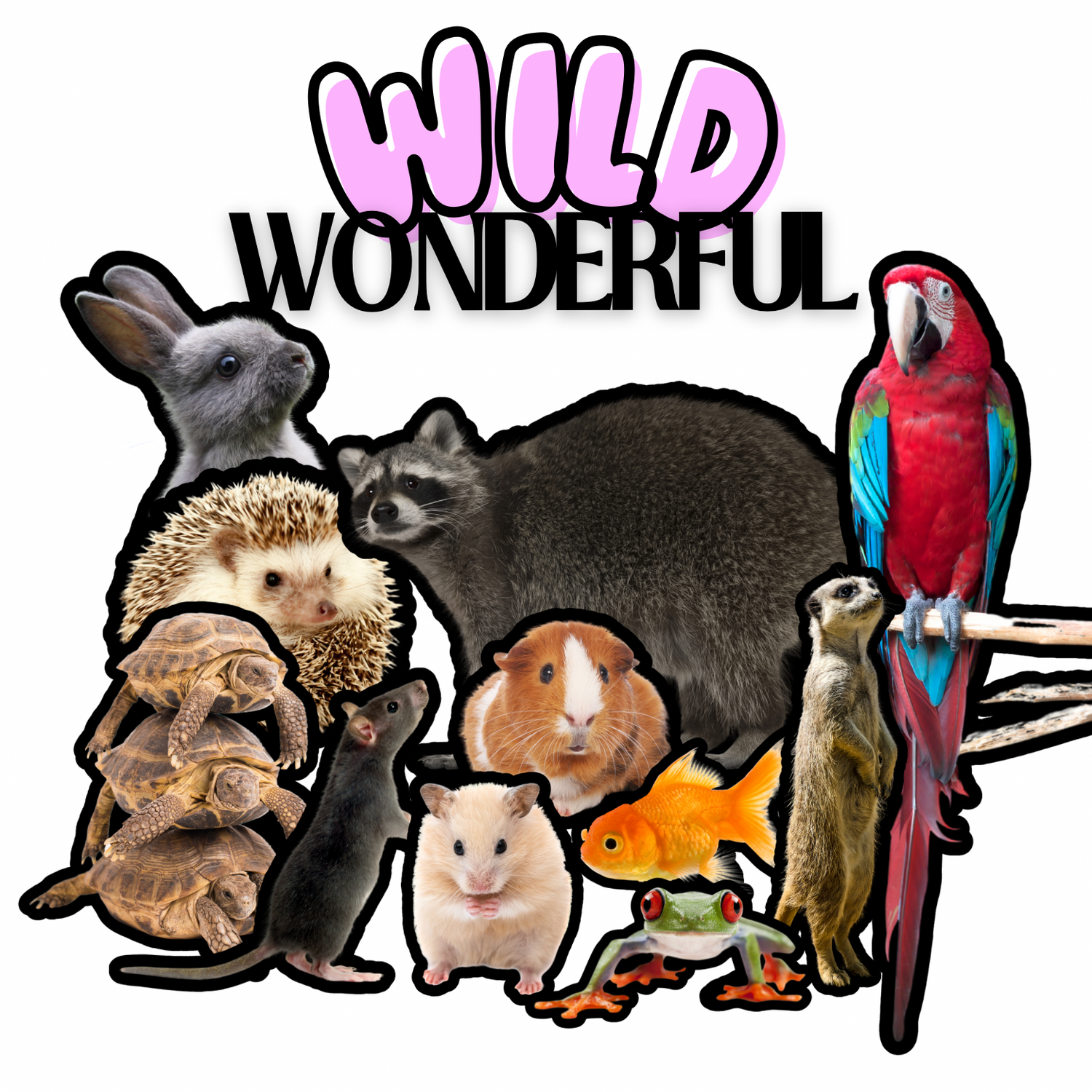 Wild & Wonderful Collection