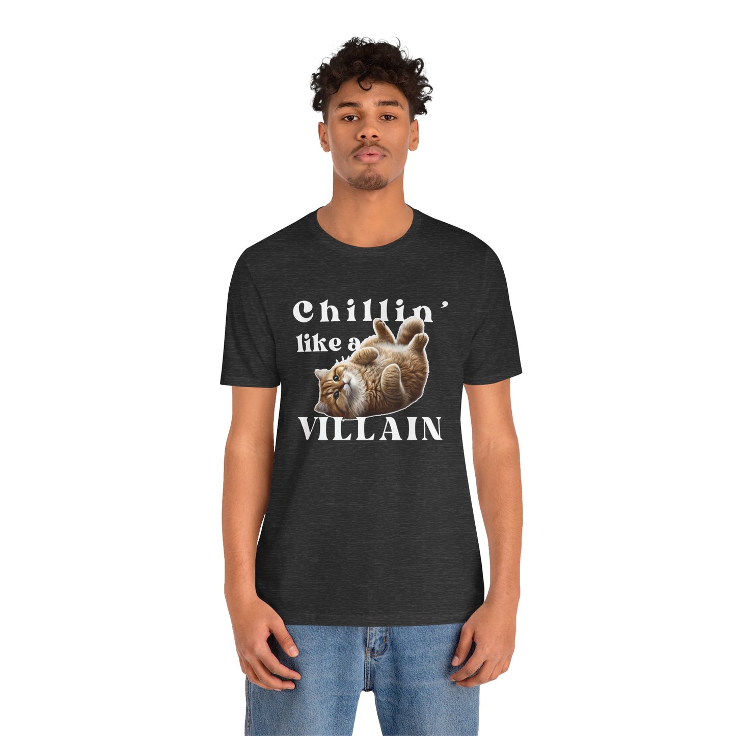 Chillin’ Like a Villain Cat T-Shirt | Fun & Comfy Cat Lover Tee