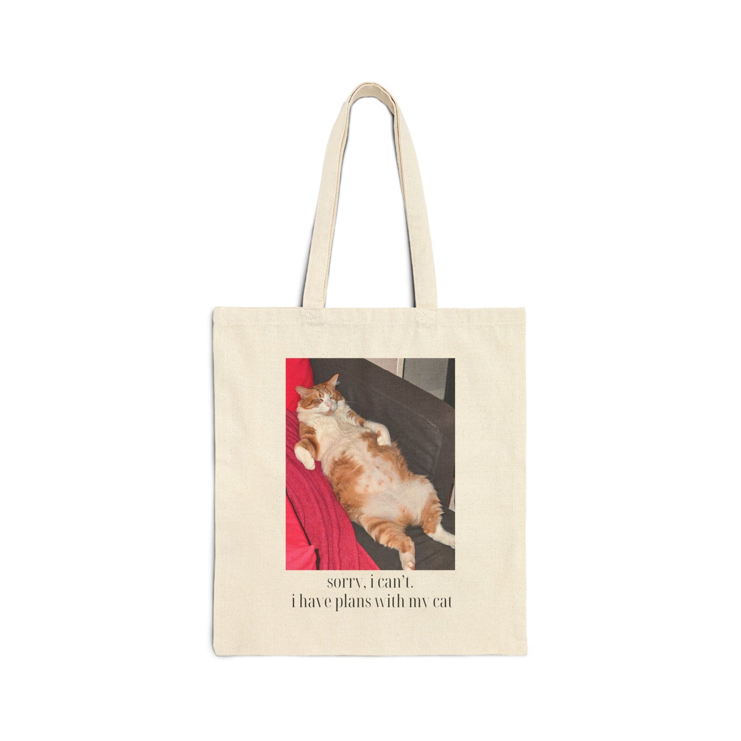 Lazy Cat Tote Bag – Relaxation Goals for Cat Lovers