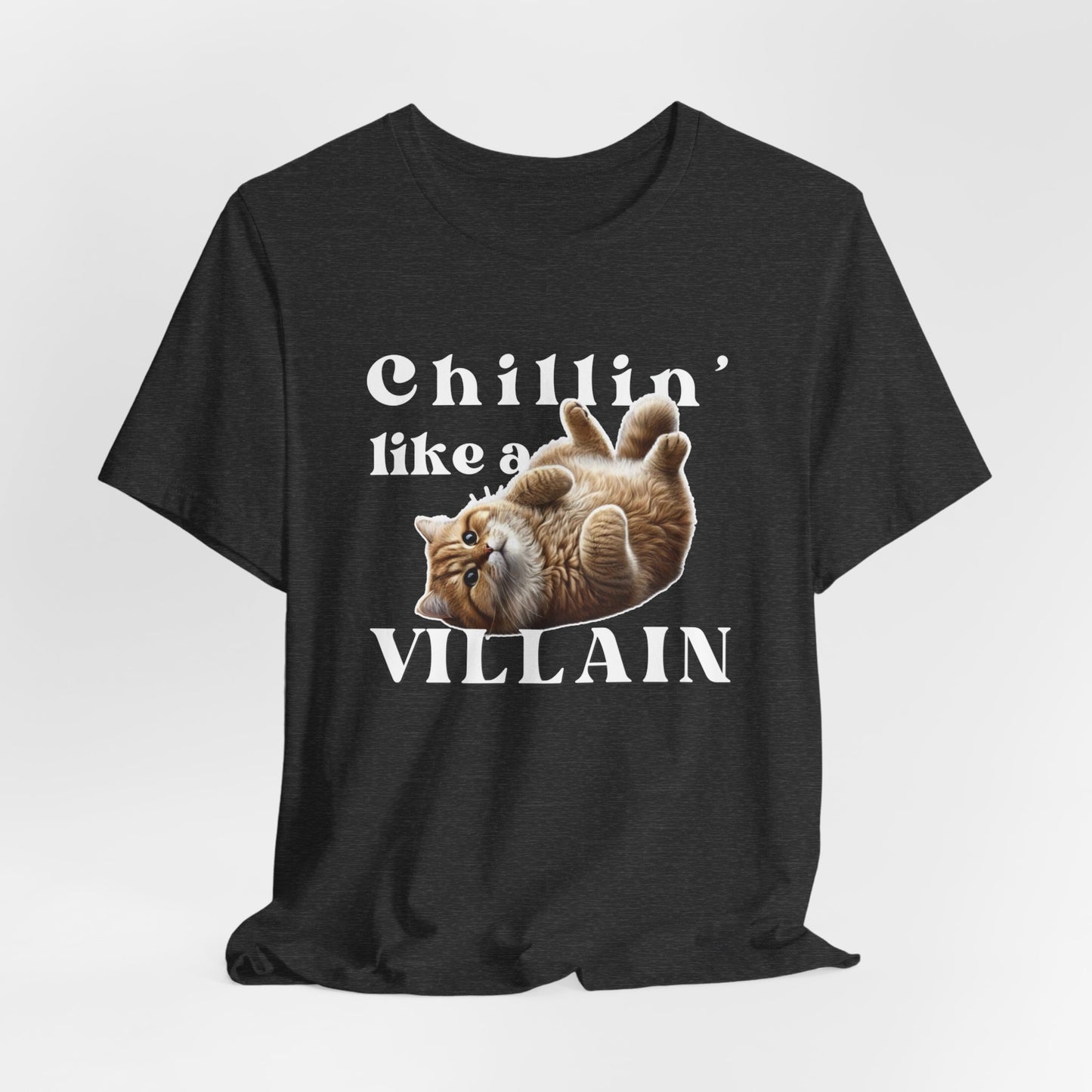 Chillin’ Like a Villain Cat T-Shirt | Fun & Comfy Cat Lover Tee