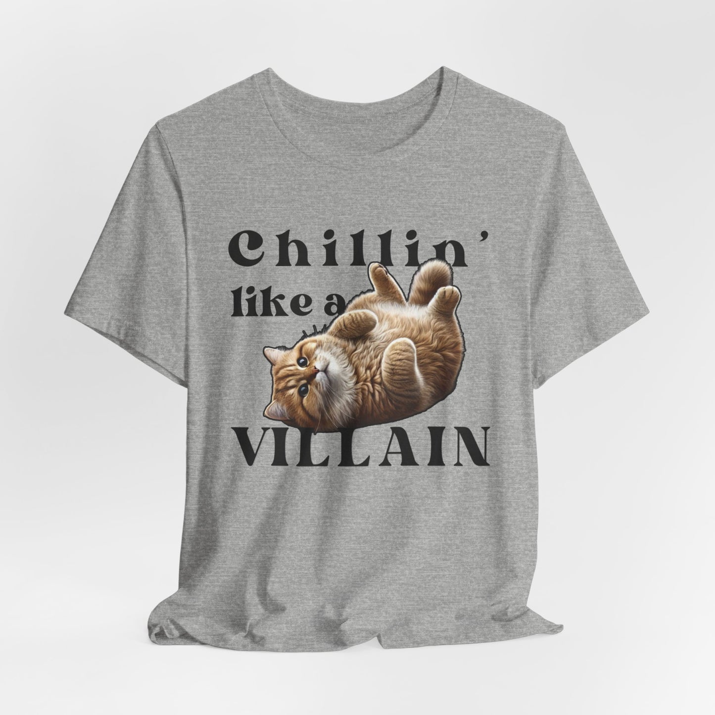 Chillin’ Like a Villain Cat T-Shirt | Fun & Comfy Cat Lover Tee