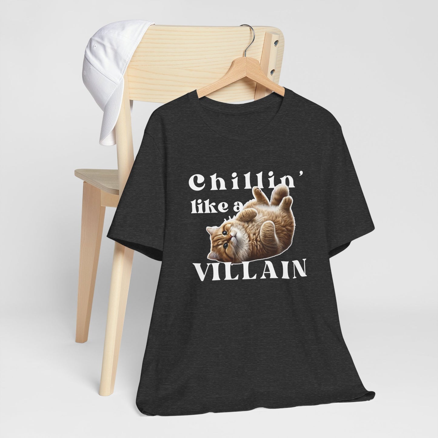 Chillin’ Like a Villain Cat T-Shirt | Fun & Comfy Cat Lover Tee